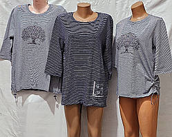 Кофта жіноча "BEKI" Узбекістан (48-56) асорті