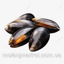 Ароматизатор Морепродукти ( мідії) харчовий рідкий водорозчинний ідентичний натуральному