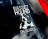 Басет-хаунд стикер, фото 2
