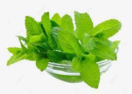 Ароматизатор М'ята (солодка) харчовий рідкий водорозчинний ідентичний натуральному