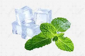 Ароматизатор М'ята (з ментоловим смаком) харчовий рідкий водорозчинний ідентичний натуральному