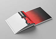 Казка про калинову сопілку. Артбук, фото 5