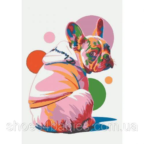 Картина за номерами "Поль", 28х40 см