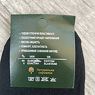 Шкарпетки чоловічі демісезонні гладкі бавовна Житомир Elite, розмір 25, чорні, 012257, фото 5