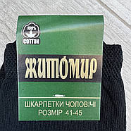 Шкарпетки чоловічі демісезонні гладкі бавовна Житомир, розмір 41-45, асорті, 012260, фото 4