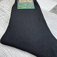 Шкарпетки чоловічі демісезонні гладкі бавовна Житомир, розмір 41-45, асорті, 012260, фото 3