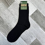 Шкарпетки чоловічі демісезонні гладкі бавовна Житомир, розмір 41-45, асорті, 012260, фото 2