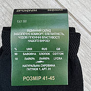 Шкарпетки чоловічі демісезонні гладкі бавовна Житомир, розмір 41-45, асорті, 012260, фото 5
