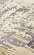 Килим  Fresco FS 30 Grey Gold золотистий прямокутний 200*290 см, фото 3