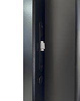 Двері для хамаму Tesli Antalya Black Sateen 2000х700, фото 6