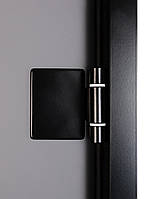 Двері для хамаму Tesli Antalya Black Sateen 2000х700, фото 4