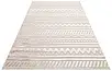 Килим  Zenith ZNT 06 Beige Dyed бежевий прямокутний 80*150 см, фото 4