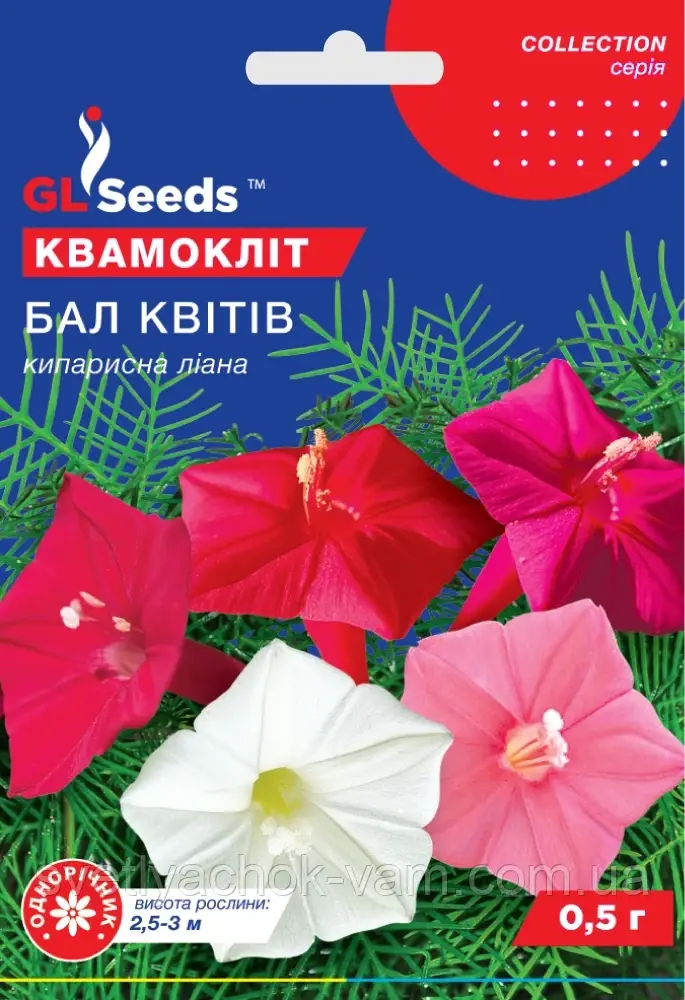 Квамоклит Бал Квітів одна з прелейснешных кипарисових садових ліан, упаковка 0,5 г