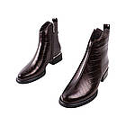 Ботильйони жіночі Velly бордові натуральна шкіра, 38, фото 5