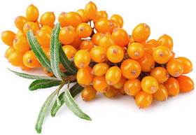 Ароматизатор Обліпиха  харчовий рідкий жиророзчинний ідентичний натуральному