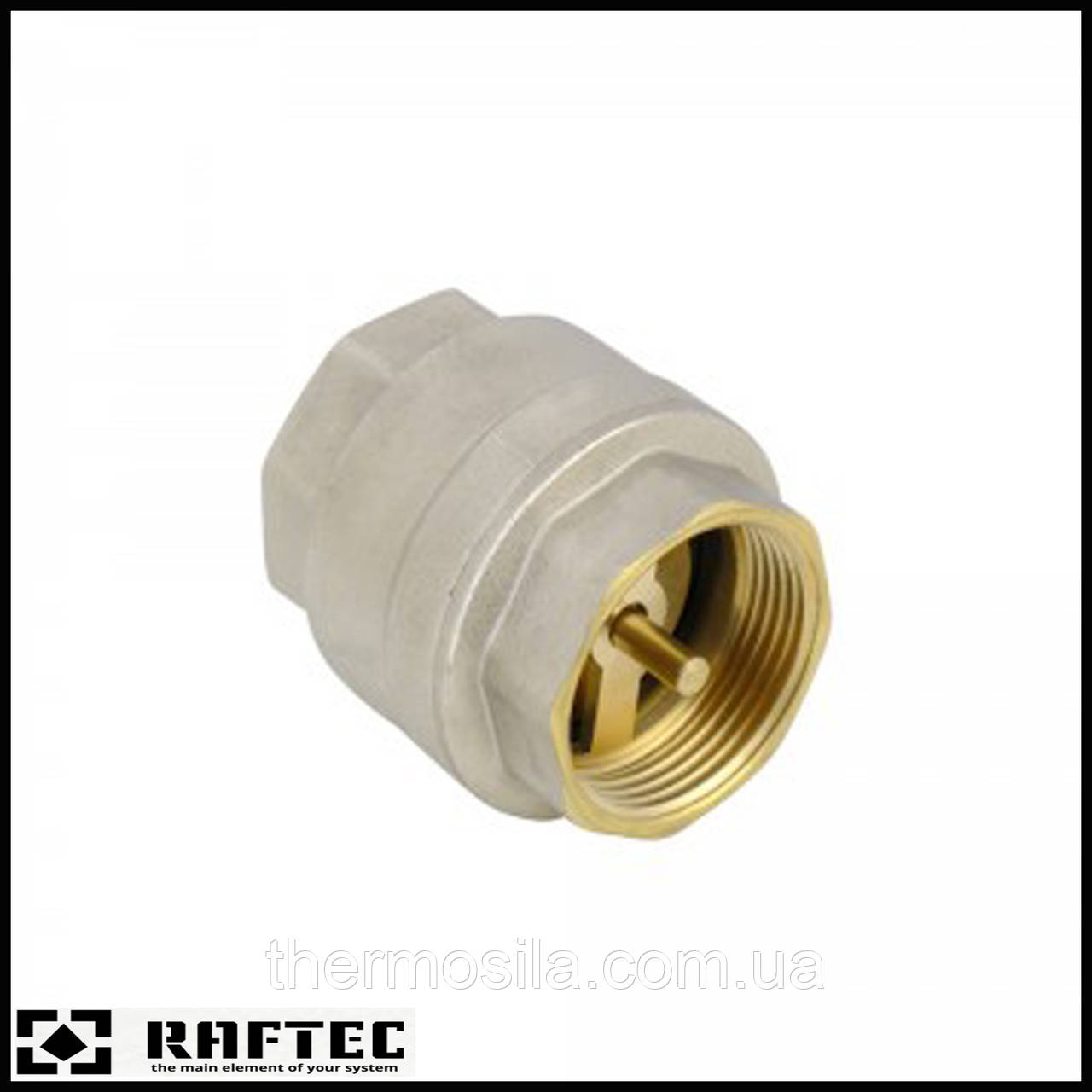 Зворотний клапан Raftec 1 1/2"