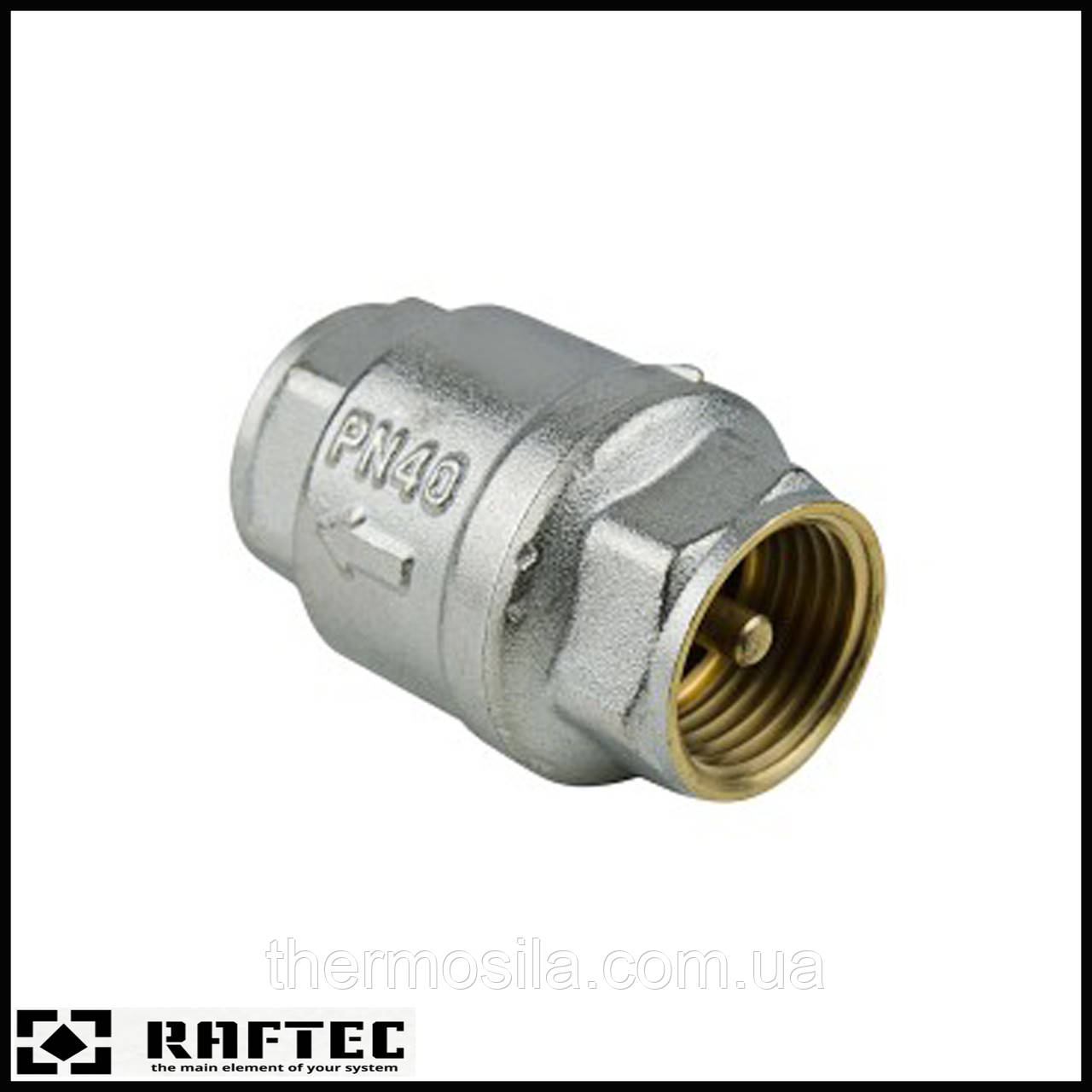 Зворотний клапан Raftec 1"