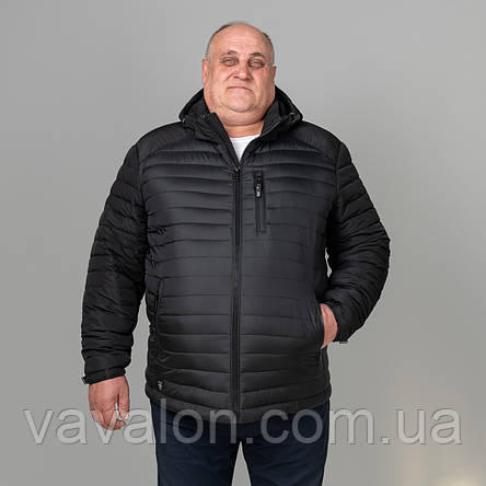 Куртка демісезонна Vavalon KD-2118 B black, фото 1