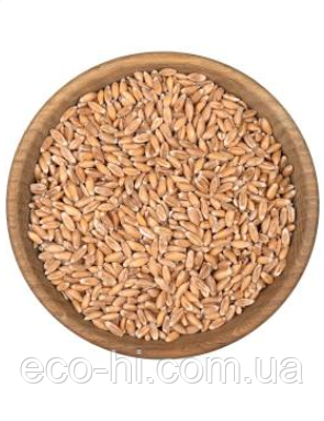 Зерно спельти органічне 400 гр Organic Country