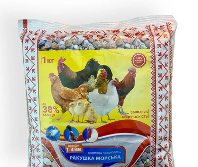 Ракушка Морська 1кг