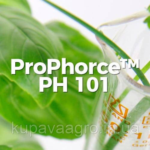 Сухий підкислювач Perstorp ProPhorce PH 101 25 кг Порошковий підкислювач для сільськогосподарських тварин