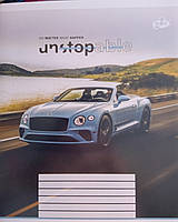 Тетрадь общая 96 листов линия ТМ Бріск ТВ-17 Brisk