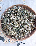 Гадючник в’язолистий трава (Filipendula ulmaria herba) 500 г, фото 3