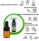 Олія натуральна Авокадо Швейцарія 2 мл, фото 5