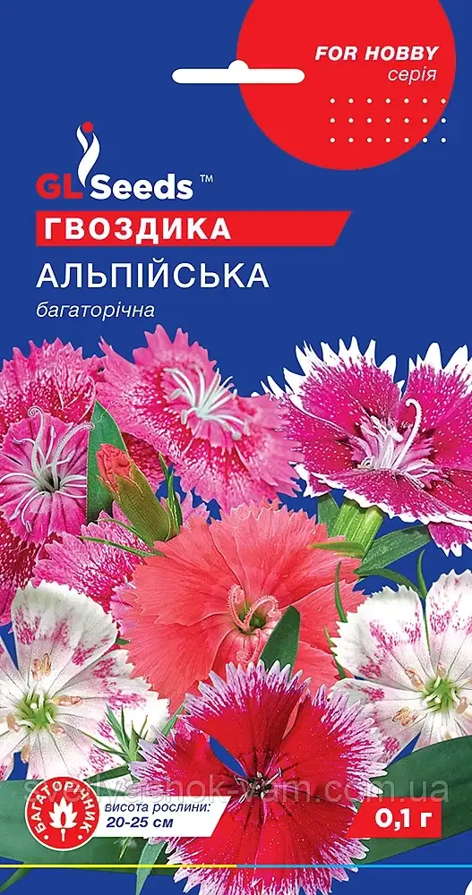 Гвоздика Альпійська дуже запашна багаторічна ґрунтопокровна бахромчаста щільна, упаковка 0,1 г
