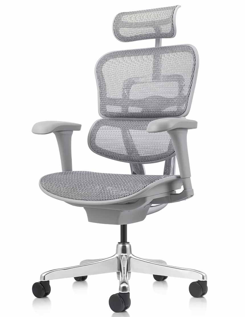 Крісло комп`ютерне Enrandnepr ERGOHUMAN PROJECT 2 GREY T-168-B2 СІТКА Сіра, фото 1