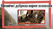 Органічні добрива. Норми внесення.