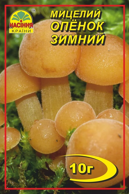 Опеньок зимовий 10 г міцелій