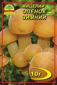 Опеньок зимовий 10 г міцелій