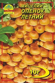 Опеньок літній 10 г міцелій