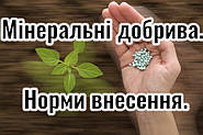 Мінеральні добрива. Норми внесення.