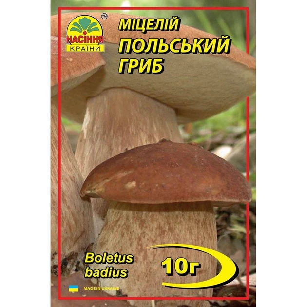 Польський гриб 10 г міцелій