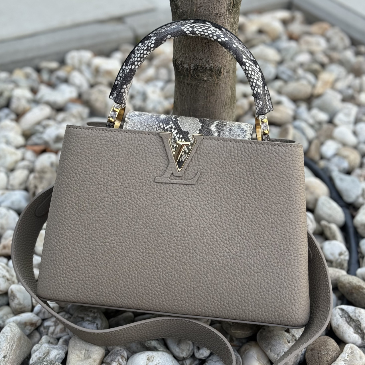 Сумка Louis Vuitton Capucines