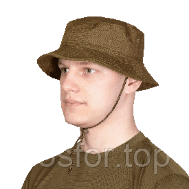 Панами