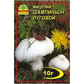 Печериця польова 10 г міцелій