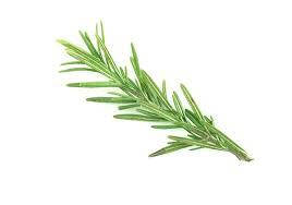 Ароматизатор Розмарин харчовий рідкий жиророзчинний ідентичний натуральному