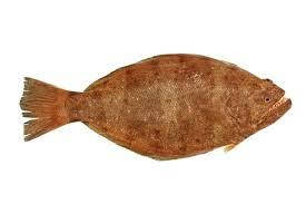 Ароматизатор Риба (Палтус) харчовий рідкий жиророзчинний ідентичний натуральному