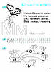 Книга "365 днів до НУШ. Дитяча грамота. Крок 2. Буквенний період" – Удовенко Н.М. (На українській мові), фото 3