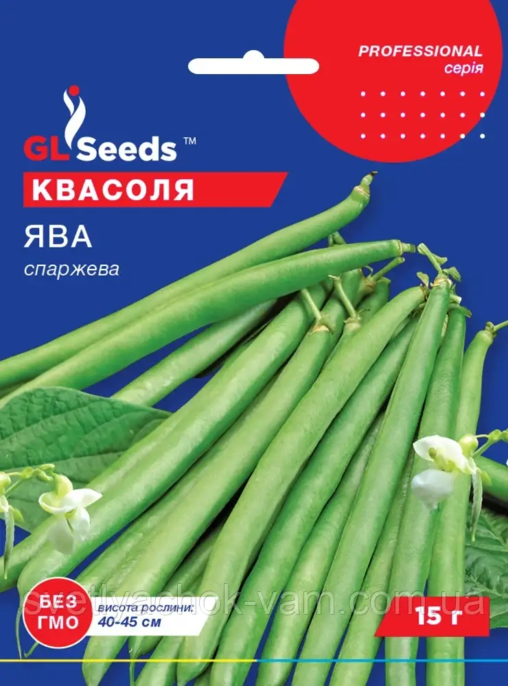 Квасоля Ява спаржева сорт зеленаплодный кущовий ранньостиглий популярний Італія, упаковка 15 г