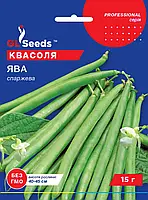Квасоля Ява спаржева сорт кущовий ранньостиглий популярний Італія, упаковка 15 г