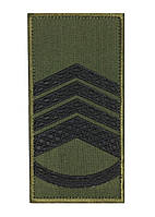 Погон 2020  ОЛИВА головний майстер сержант