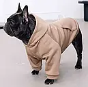 Толстовка 41 см (об'єм до 60см) Кишеня бежева розмір 9 для собак M, фото 5