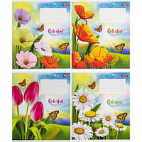 Від 20 шт. Зошит кольоровий 12 листів, клітина "3517"D купити дешево оптом в інтернет-магазині