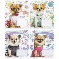 Від 20 шт. Зошит кольоровий 12 листів, клітина "3506"  D купити дешево оптом в інтернет-магазині