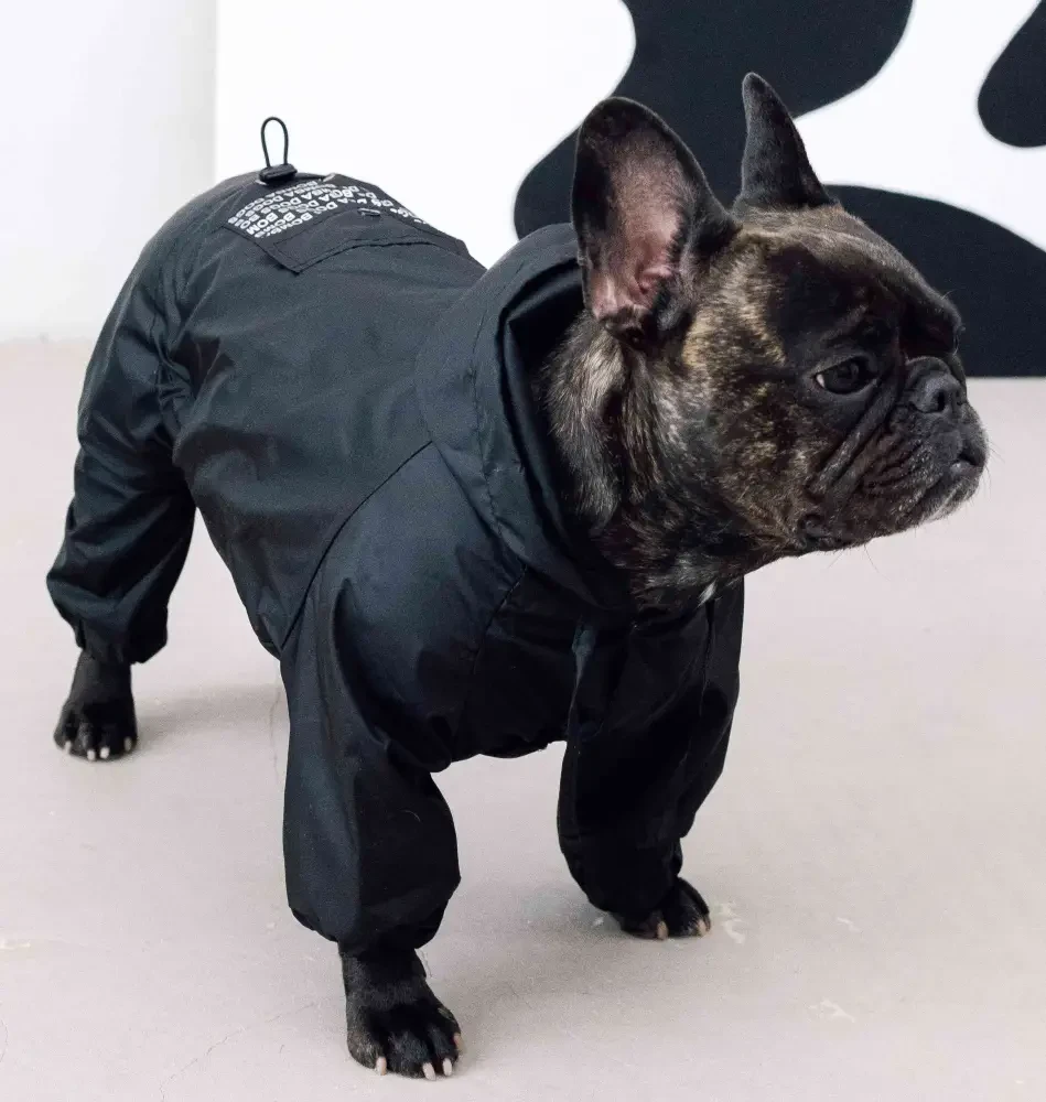 Комбінезон - дощовик 42 см (об'єм до 62см) Кишеня чорний розм 9 для собак M, фото 1