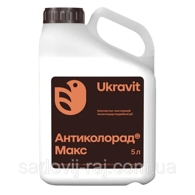 Оргазмы бар порно және сквирт